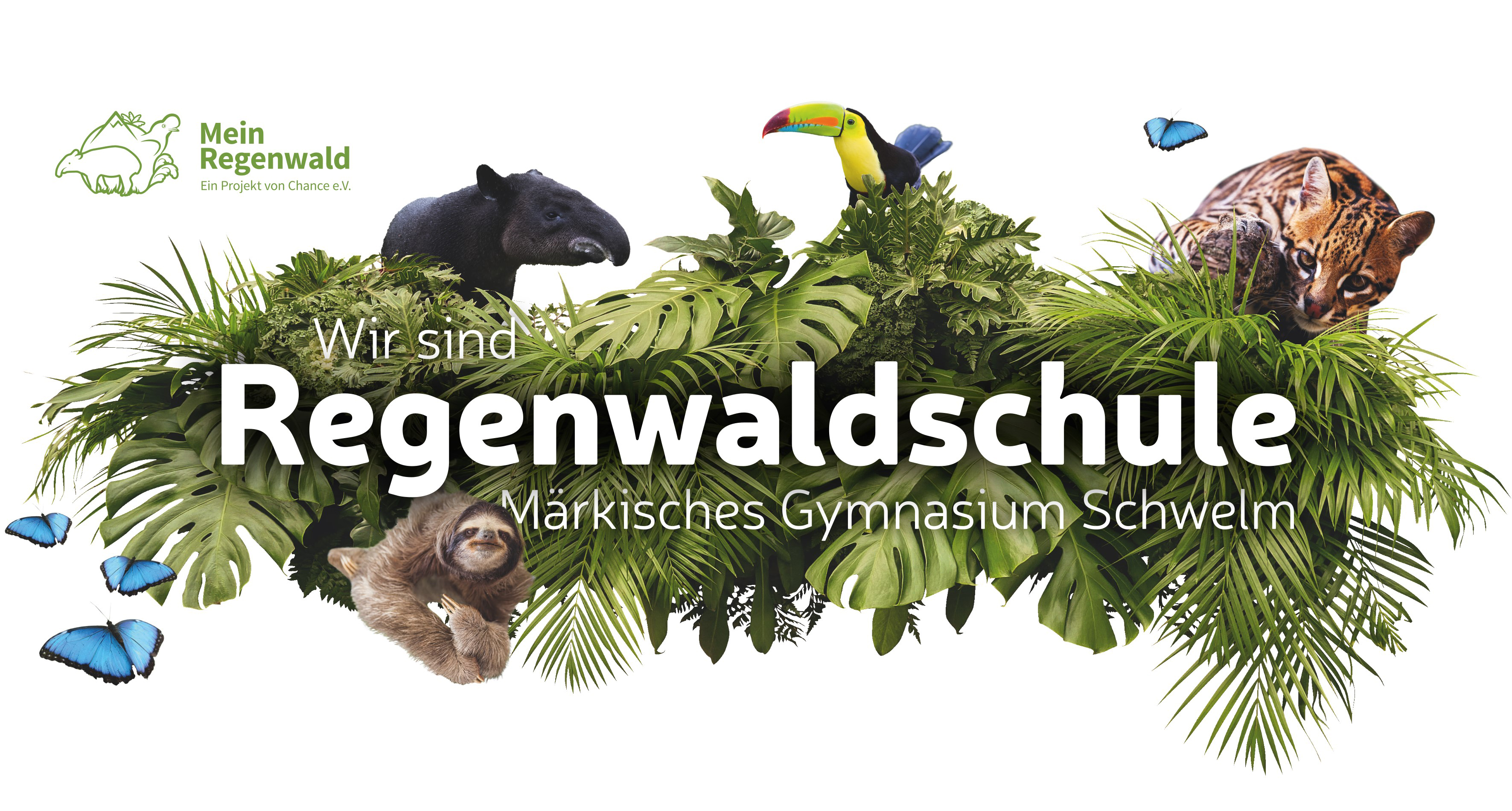 MGS Spendenlauf 2026